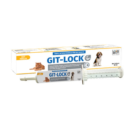 Git_lock_Packshot